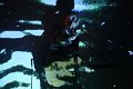 IMG_0152